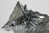 Metallic Stibnite Crystal Spray On Matrix - Xikuangshan Mine, China #175929-3